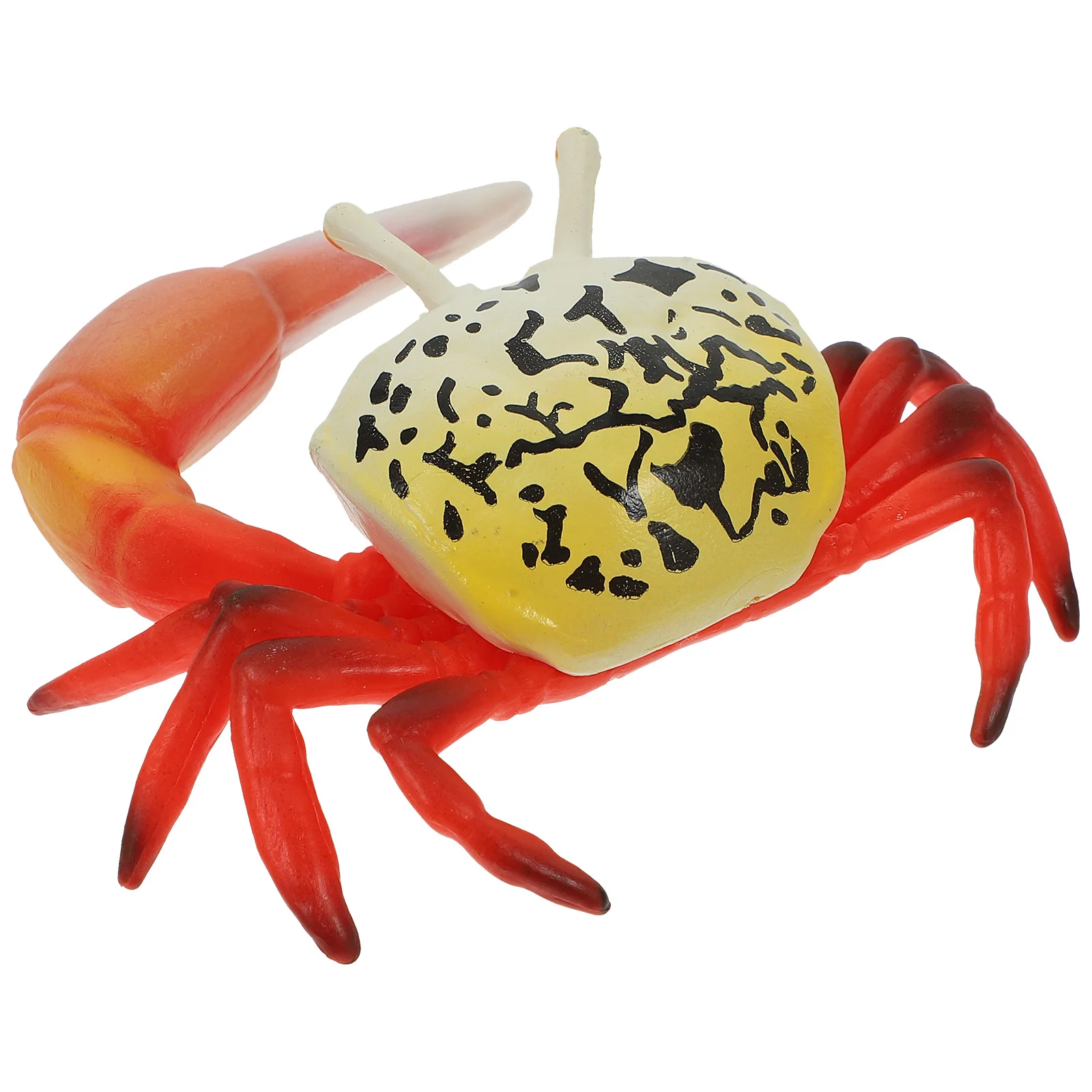 Educational Crab Plastic Decors Lifelike Animals Toys Kids Teaching Aids Model Party Simulation Fake Child
Educational Crab Plastic Decors Lifelike Animals Toys Kids Teaching Aids Model Party Simulation Fake Child