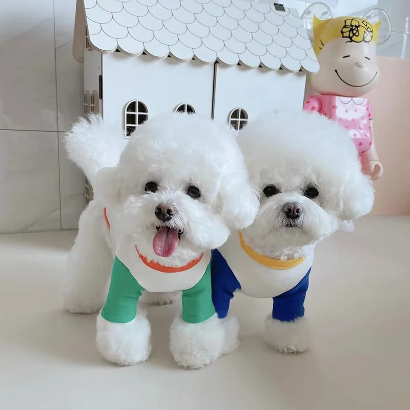 Pet Colorblock Short Sleeve Pet Clothes Spring Dog Clothes Luxury Fashion Striped Vest Short Sleeve Pet Accessories Pomeranian
Pet Colorblock Short Sleeve Pet Clothes Spring Dog Clothes Luxury Fashion Striped Vest Short Sleeve Pet Accessories Pomeranian