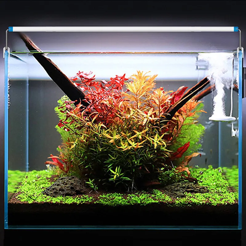 Super Slim LEDs Aquarium Lighting Aquatic Plant Light 18-75CM Extensible Waterproof Clip on Lamp For Fish Tank 90-260V
Super Slim LEDs Aquarium Lighting Aquatic Plant Light 18-75CM Extensible Waterproof Clip on Lamp For Fish Tank 90-260V
