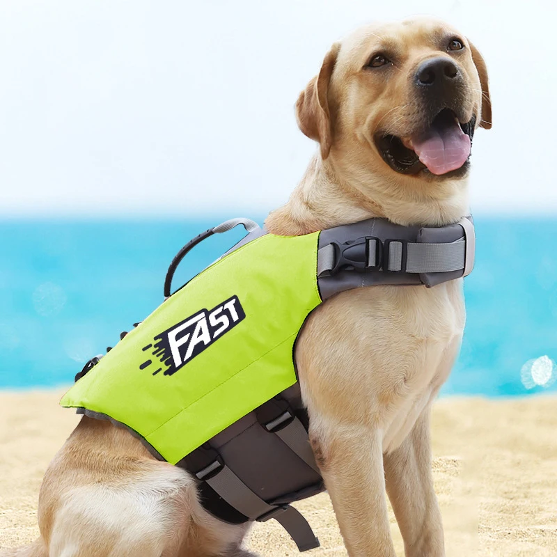 Summer Sportlish Dog Life Vest High Quality Pet Life Jacket For Dogs Clothes Dogs Swimwear Bulldog Labrador Pets Swimming Suit
Summer Sportlish Dog Life Vest High Quality Pet Life Jacket For Dogs Clothes Dogs Swimwear Bulldog Labrador Pets Swimming Suit