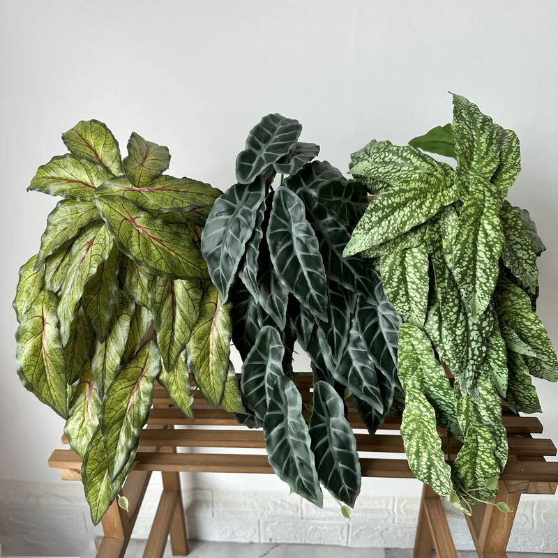 50cm Artificial Green Plants Flower Plastic Arrowroot Corner Leaf Wall Hanging Home Garden Wedding Decoration Fake Plant Floral 
50cm Artificial Green Plants Flower Plastic Arrowroot Corner Leaf Wall Hanging Home Garden Wedding Decoration Fake Plant Floral