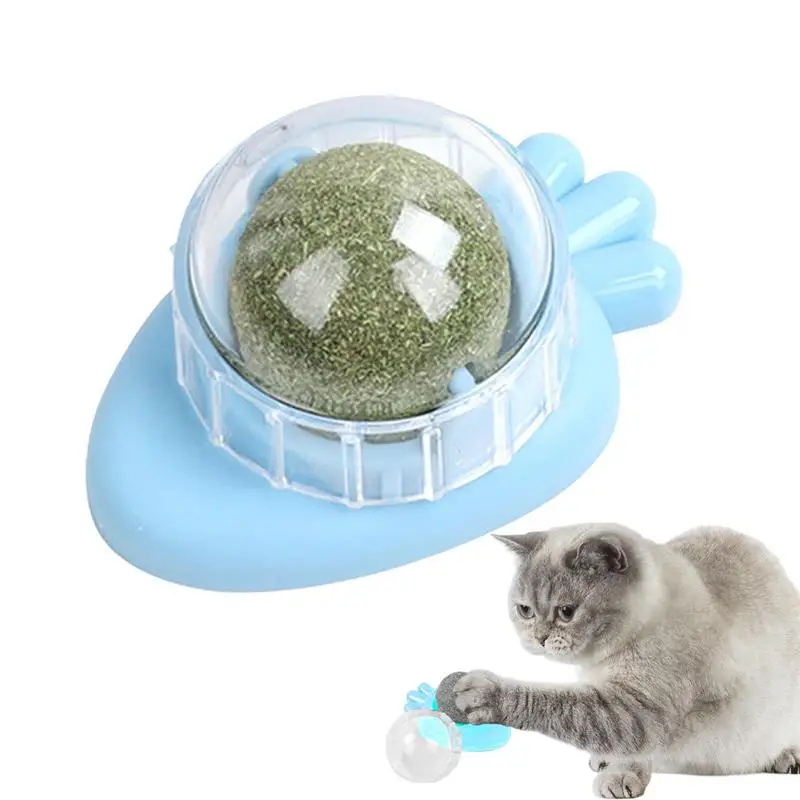 Catnip Balls For Cats Wall Cat Nips Organic Ball Edible Kitten Toys Interactive Cat Lick Toy Indoor Cat Toy Relieve Cat Anxiety
Catnip Balls For Cats Wall Cat Nips Organic Ball Edible Kitten Toys Interactive Cat Lick Toy Indoor Cat Toy Relieve Cat Anxiety
