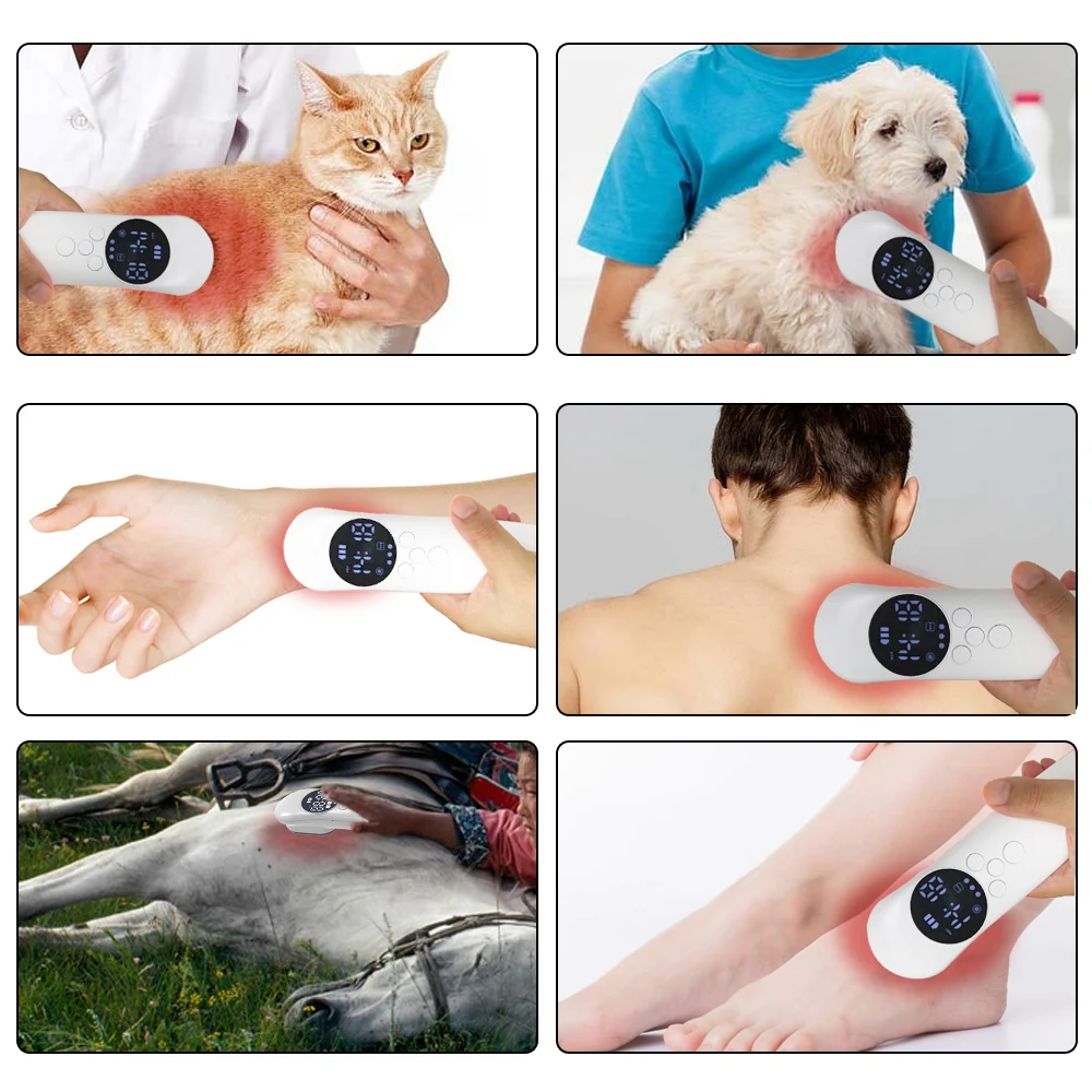 Cold Laser Physiotherapy Back Pain Equipment Knee Arthritis Treatment Device For Home Use
Cold Laser Physiotherapy Back Pain Equipment Knee Arthritis Treatment Device For Home Use