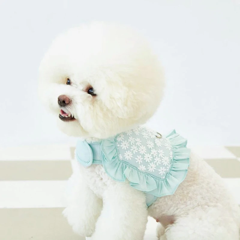 2022 Puppy Chest Strap Leash Pet Cute Chest Strap Mesh Breathable Comfortable Kitten And Dog Supplies
2022 Puppy Chest Strap Leash Pet Cute Chest Strap Mesh Breathable Comfortable Kitten And Dog Supplies