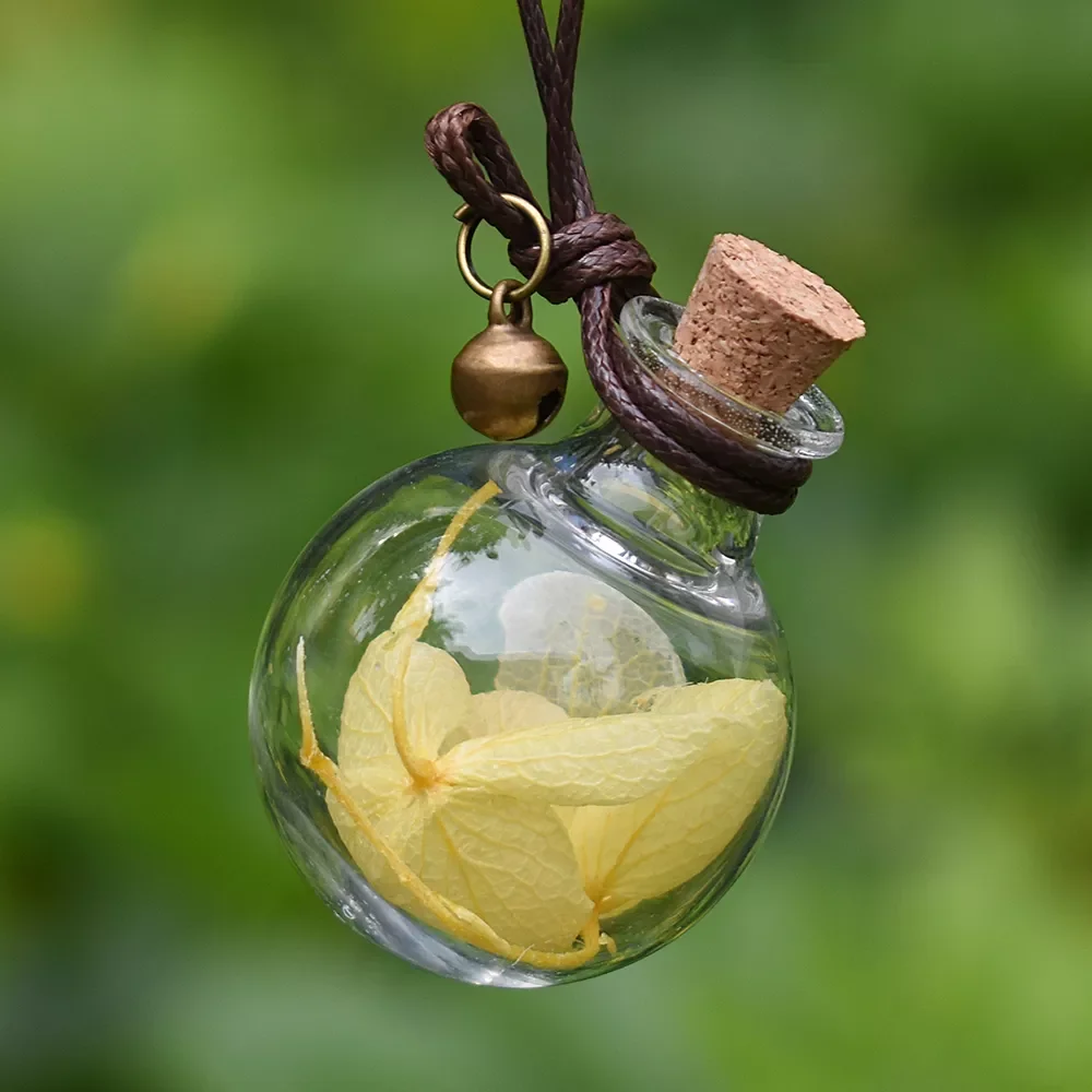 Car Pendant Decoration Car Perfume Air Freshener with Flower Auto Essential Oils Perfume Bottle Diffuser Automobiles Ornaments
Car Pendant Decoration Car Perfume Air Freshener with Flower Auto Essential Oils Perfume Bottle Diffuser Automobiles Ornaments