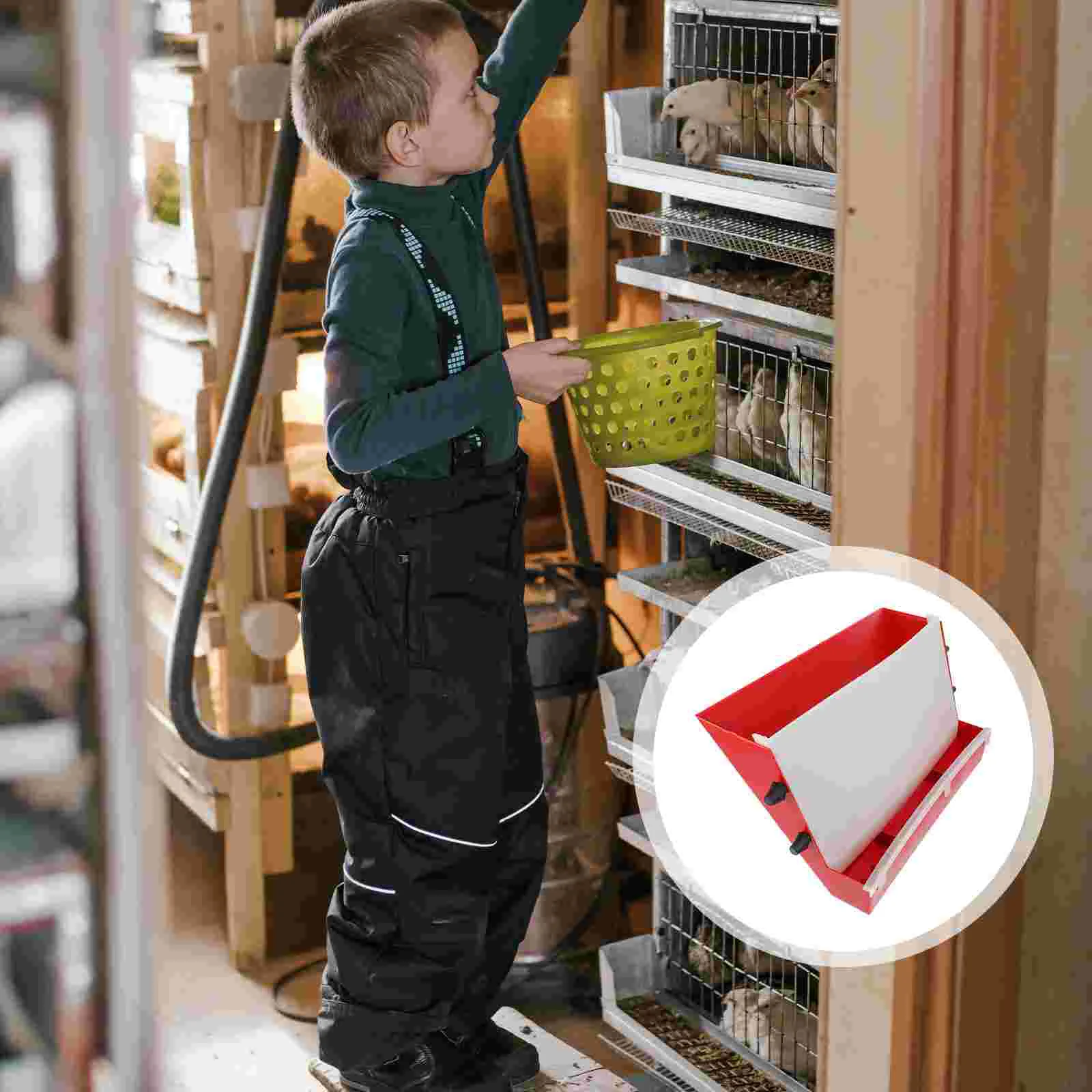 Poultry Feeder Automatic Feeding Box Humming Bird Feeders Outdoors Ladder Design Quail
Poultry Feeder Automatic Feeding Box Humming Bird Feeders Outdoors Ladder Design Quail