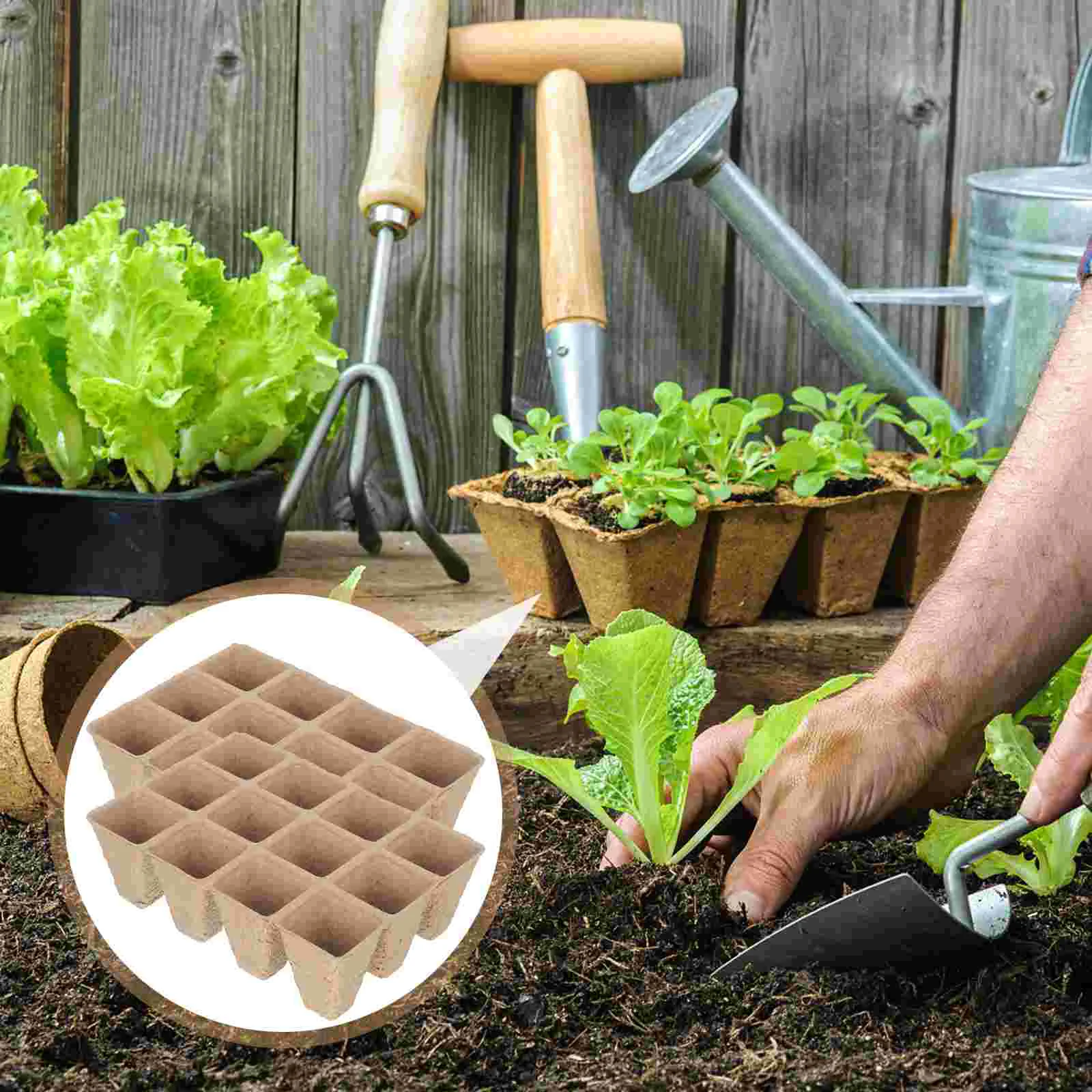 Pots Trays Germination Starter Nursery Paper Cup Garden Planter Seeding Peat Pot Pulp Grow Tray Growing Succulent Accessory
Pots Trays Germination Starter Nursery Paper Cup Garden Planter Seeding Peat Pot Pulp Grow Tray Growing Succulent Accessory