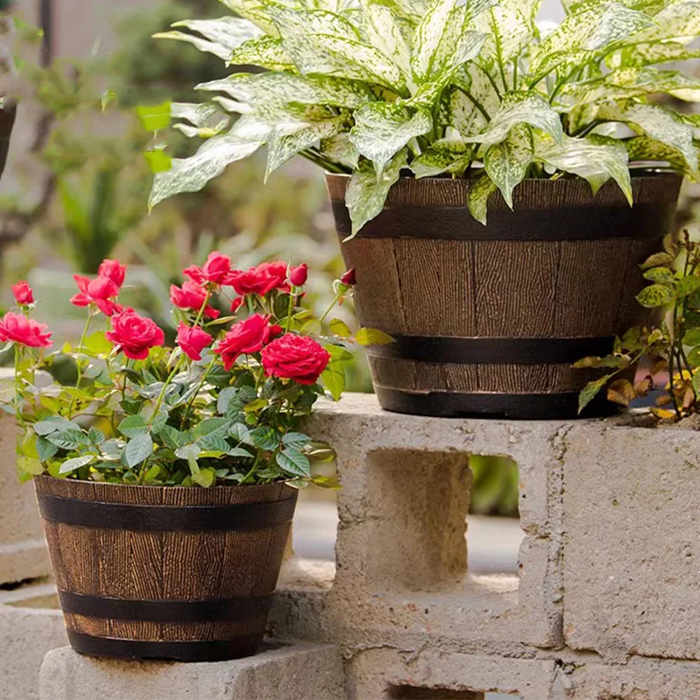 House Plants Garden Flowerpot Whisky Bonsai Succulent Resin Pots Outdoor Planter
House Plants Garden Flowerpot Whisky Bonsai Succulent Resin Pots Outdoor Planter