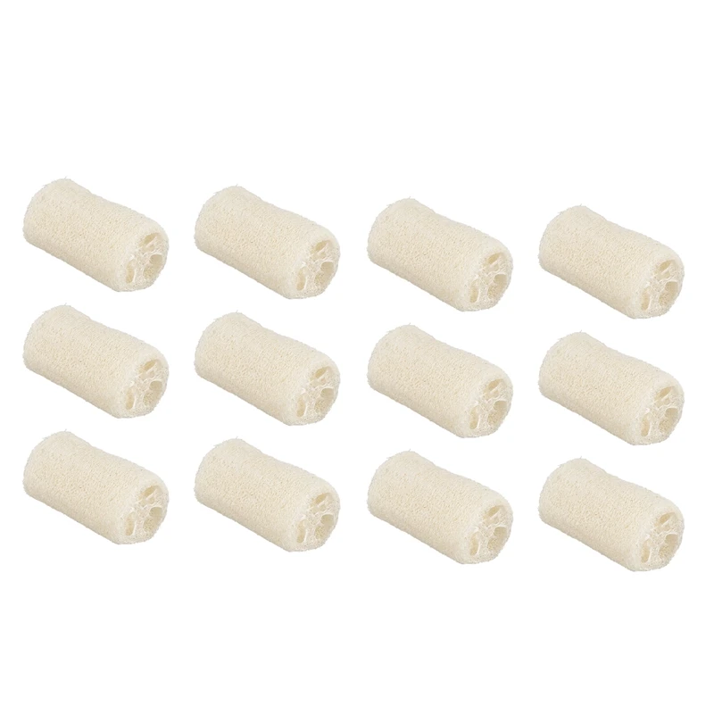12 Pack Of Organic Loofahs Loofah Spa Exfoliating Scrubber Natural Luffa Body Wash Sponge Remove Dead Skin Made Soap
12 Pack Of Organic Loofahs Loofah Spa Exfoliating Scrubber Natural Luffa Body Wash Sponge Remove Dead Skin Made Soap