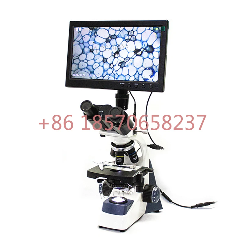 LHXSP5-10C Laboratory Equipment Adjustable Light Source Binocular Biological Microscope with Camera Digital Microscope
LHXSP5-10C Laboratory Equipment Adjustable Light Source Binocular Biological Microscope with Camera Digital Microscope