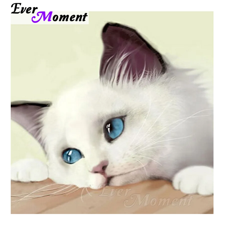 Ever Moment Diamond Painting White Cat Blue Eyes Animal Resin Round & Square Bead 5D DIY Diamond Embroidery Wall Decor S2F683
Ever Moment Diamond Painting White Cat Blue Eyes Animal Resin Round & Square Bead 5D DIY Diamond Embroidery Wall Decor S2F683