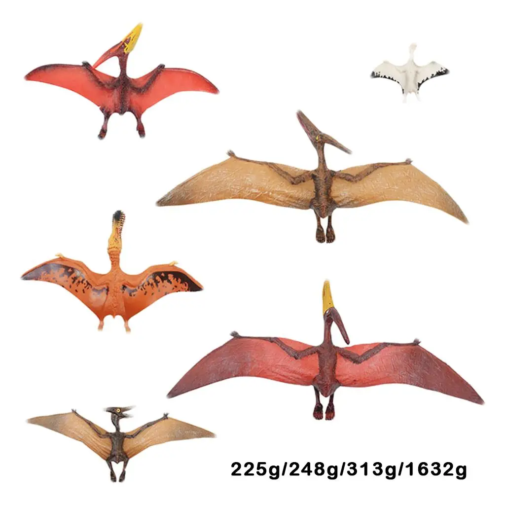 Модель динозавра Pterosaur, фигурки малышей, игра, образование, украшение джунглей
Модель динозавра Pterosaur, фигурки малышей, игра, образование, украшение джунглей