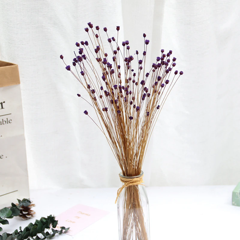50Pcs Real Happy Flower Small Natural Dried Flowers Bouquet Dry Flowers Press Mini Decorative Photography Photo Backdrop Decor
50Pcs Real Happy Flower Small Natural Dried Flowers Bouquet Dry Flowers Press Mini Decorative Photography Photo Backdrop Decor