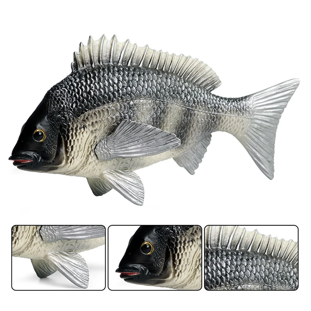 Simulation African Crucian Carp Educational Toys Plaything Children Ocean Fish Model Plastic Cognitive
Simulation African Crucian Carp Educational Toys Plaything Children Ocean Fish Model Plastic Cognitive