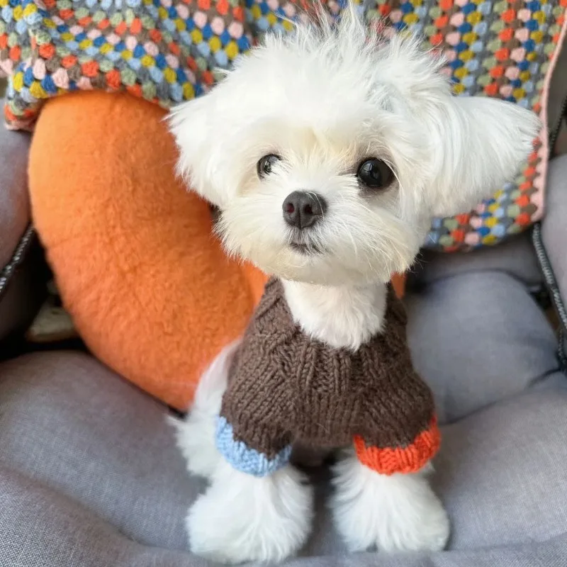 Brown Knit Sweater Dog Clothes Fashion Contrast Color Small Dogs Clothing Cat Winter Warm Thick Sweet Crochet Costume Pet Items
Brown Knit Sweater Dog Clothes Fashion Contrast Color Small Dogs Clothing Cat Winter Warm Thick Sweet Crochet Costume Pet Items