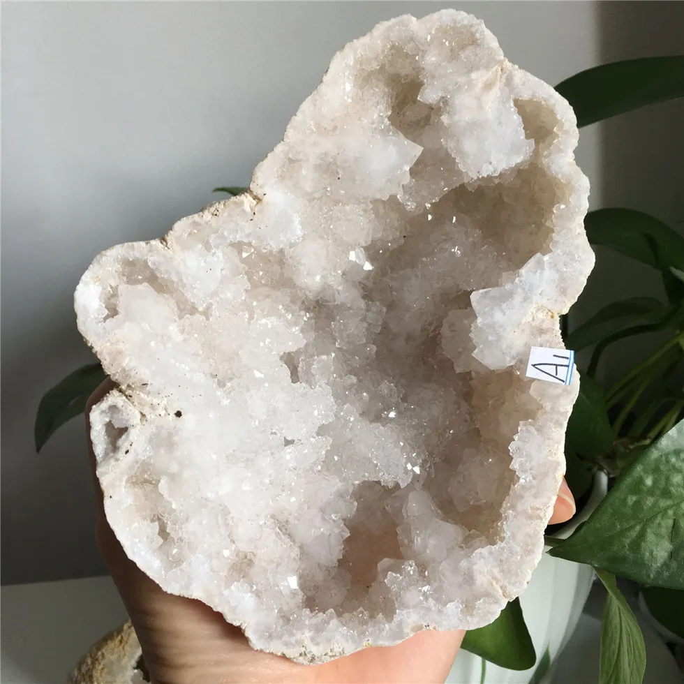 6-12.5cm Natural Agate Geode Durzy Raw Crystal Mineral Healing Stone Cluster Cave Specimen
6-12.5cm Natural Agate Geode Durzy Raw Crystal Mineral Healing Stone Cluster Cave Specimen