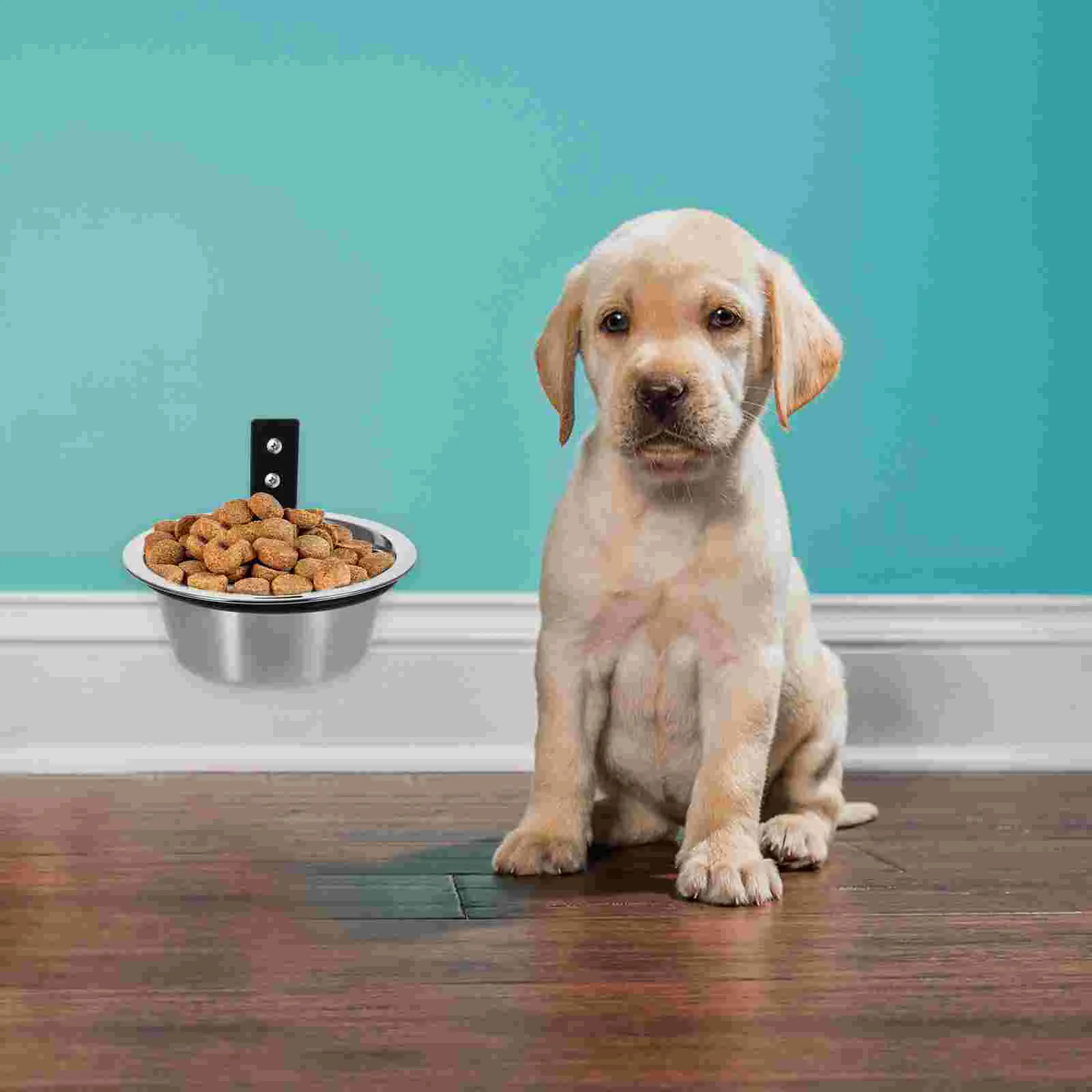 Wall Mounted Elevated Dog Bowl Bowls Stainless Steel Large Dogs Convenient Cat Foldable Water Cats Wear-resistant Raised
Wall Mounted Elevated Dog Bowl Bowls Stainless Steel Large Dogs Convenient Cat Foldable Water Cats Wear-resistant Raised