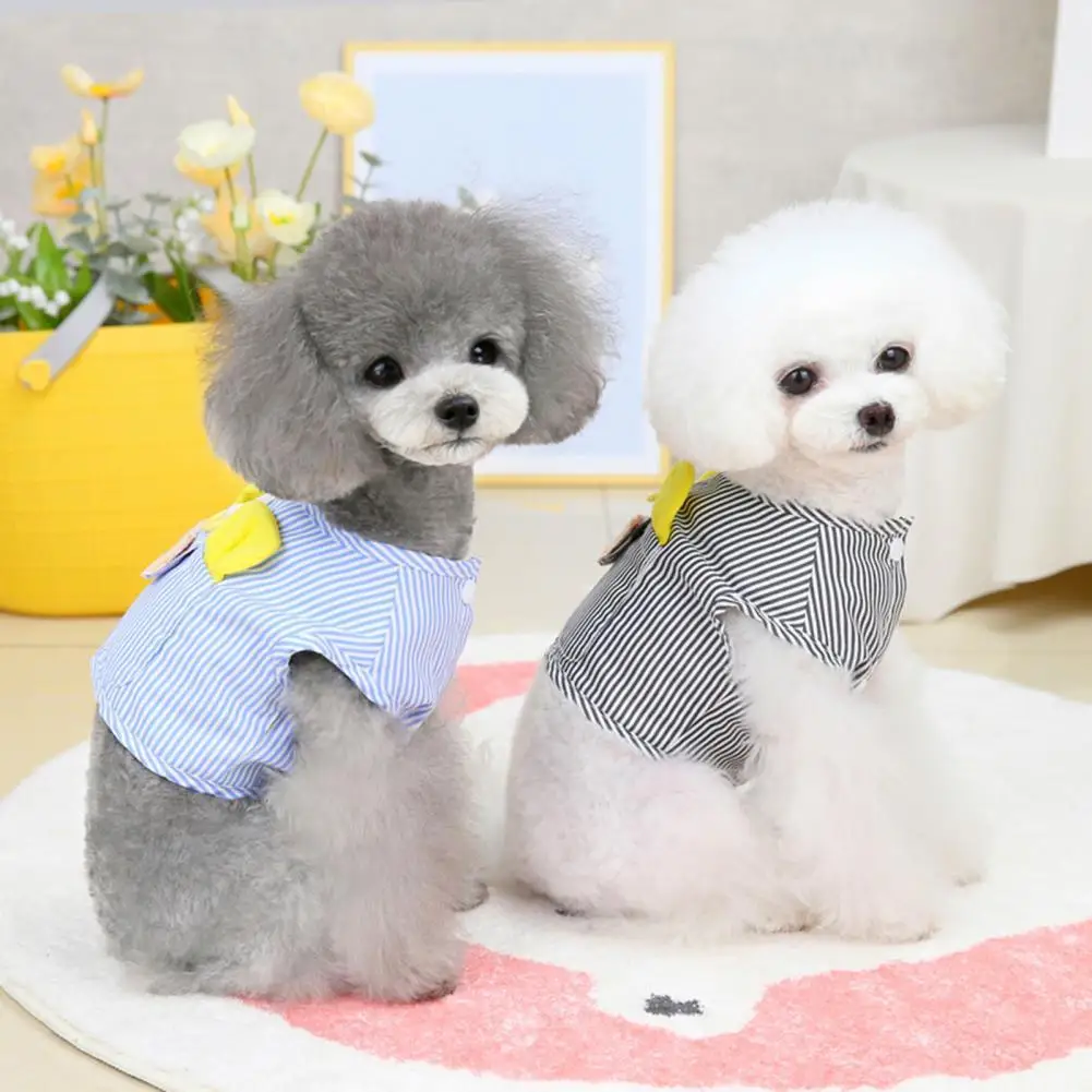 5 Sizes Popular Universal Cozy Dog Vest 2 Colors Dog Outfit Soft Touch for Daily Wear
5 Sizes Popular Universal Cozy Dog Vest 2 Colors Dog Outfit Soft Touch for Daily Wear