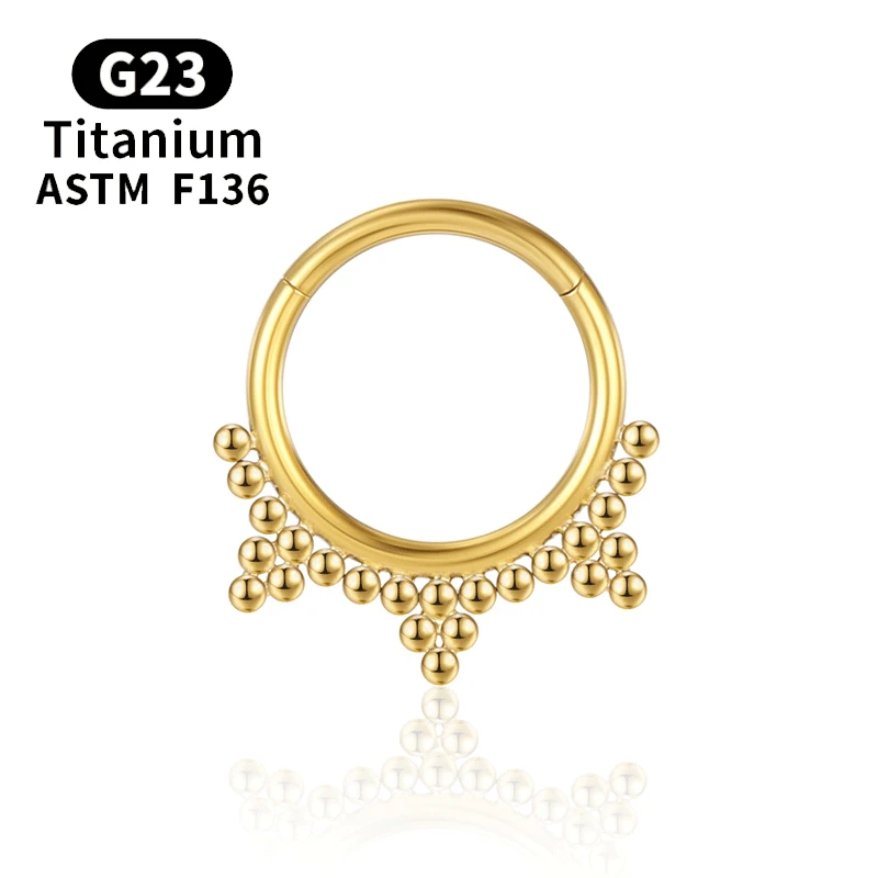 Titanium Septum Piercing Tragus G23 Nose Ring Hoop Daith Helix Hinged Segment 16g Cartilage Earrings Clicker Body Jewelry Labret
Titanium Septum Piercing Tragus G23 Nose Ring Hoop Daith Helix Hinged Segment 16g Cartilage Earrings Clicker Body Jewelry Labret