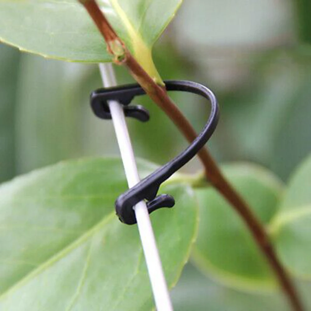 Trellis Garden Clip Garden Hook Trellis For Garden Plant Twine U Type Vegetable Binder Garden Supply Plant Support
Trellis Garden Clip Garden Hook Trellis For Garden Plant Twine U Type Vegetable Binder Garden Supply Plant Support