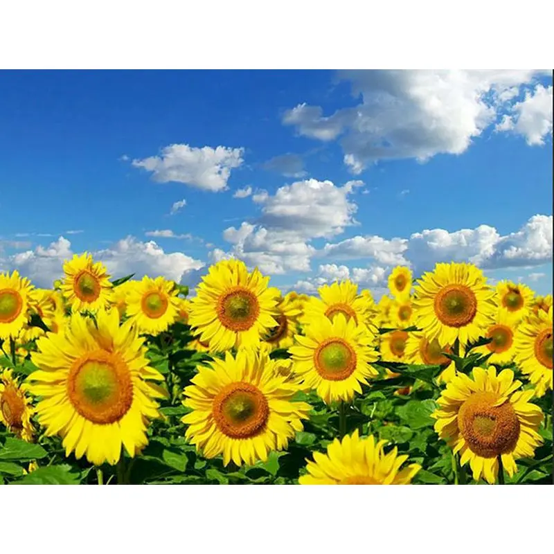 RUOPOTY Frame 5d Diamond Painting Sunflower Diamond Embroidery Sale Pictures Of Rhinestones Scenery Mosaic Handicraft Home Decor
RUOPOTY Frame 5d Diamond Painting Sunflower Diamond Embroidery Sale Pictures Of Rhinestones Scenery Mosaic Handicraft Home Decor