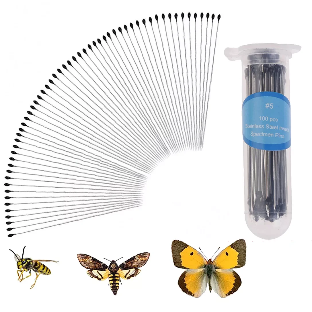 Pins 100Pcs Stainless Steel Specimen Entomology Pins Collections Needle For School Lab Entomology Body Dissection Insect
Pins 100Pcs Stainless Steel Specimen Entomology Pins Collections Needle For School Lab Entomology Body Dissection Insect