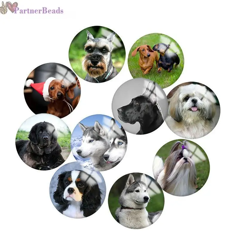 Dog Round Photo Glass Cabochon Demo Flat Back Making Findings 20mm Snap Button N8271
Dog Round Photo Glass Cabochon Demo Flat Back Making Findings 20mm Snap Button N8271
