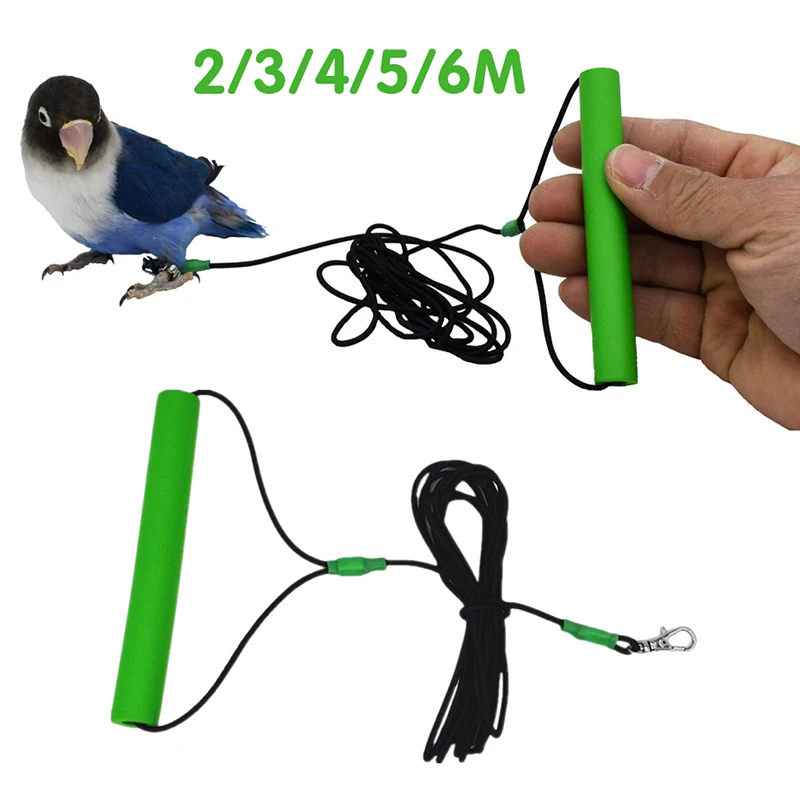 6m Bird Flying Rope Parrot Birds Anti-bite Outdoor Flying Training Traveling Walking Rope Portable Pet Bird Harness Pigeon Strap
6m Bird Flying Rope Parrot Birds Anti-bite Outdoor Flying Training Traveling Walking Rope Portable Pet Bird Harness Pigeon Strap