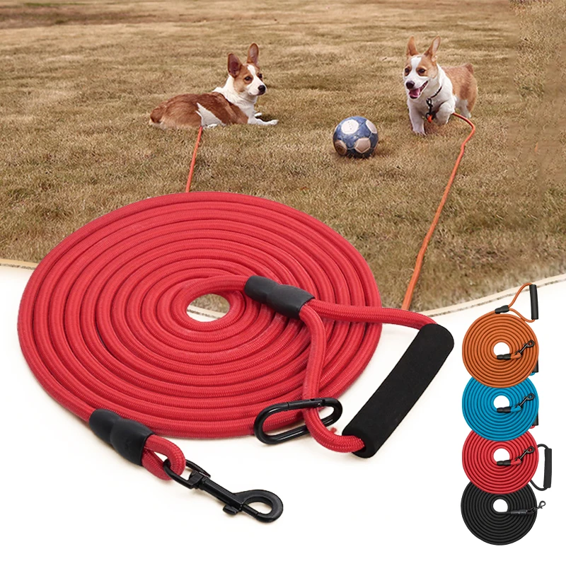Lighter Leash For Pet Dog Belt Accessories Small Big Dog Leash Puppy Lead Strips Nylon Training Long Rope Outdoor Waterproofing
Lighter Leash For Pet Dog Belt Accessories Small Big Dog Leash Puppy Lead Strips Nylon Training Long Rope Outdoor Waterproofing