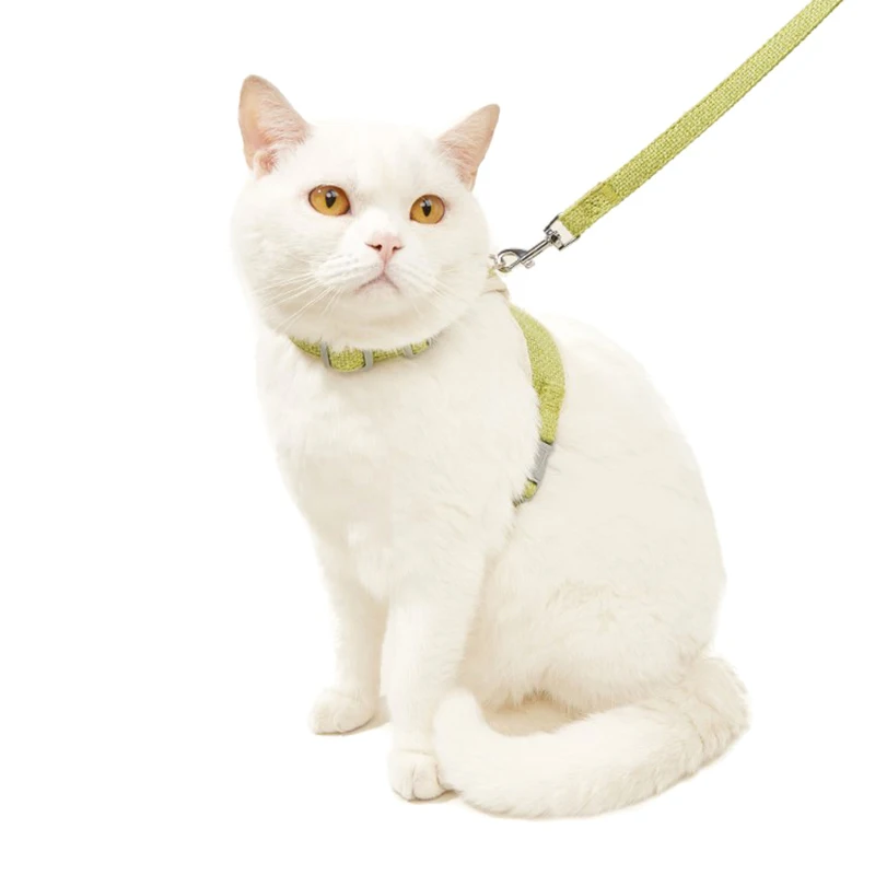 Newest Cute Rabbit Harness and Leash Set Bunny Pet Accessories Vest Harnesses Rabbit Leashes for Outdoor Walking Pets Supplies
Newest Cute Rabbit Harness and Leash Set Bunny Pet Accessories Vest Harnesses Rabbit Leashes for Outdoor Walking Pets Supplies