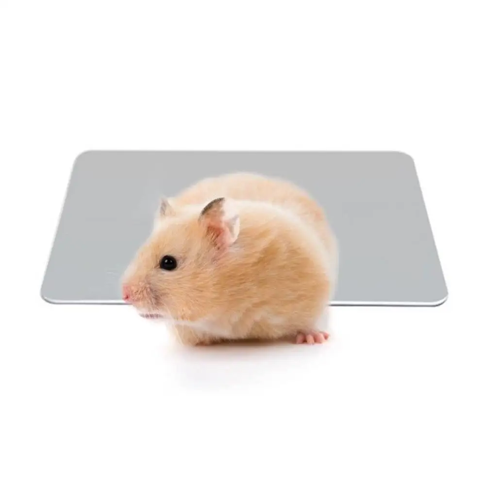 Scratch-resistant Summer Pet Hamster Embossing Cooling Plate Ice Pad House Pet Mat Bed Pet Mat Dropshipping
Scratch-resistant Summer Pet Hamster Embossing Cooling Plate Ice Pad House Pet Mat Bed Pet Mat Dropshipping