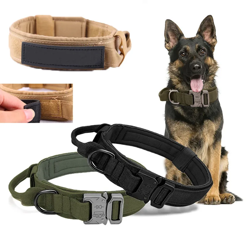 Tactical Training Dog Collar Durable German Shepherd For Medium Large Outdoor Walking Training Free Custom Velcro Pet Supplies
Tactical Training Dog Collar Durable German Shepherd For Medium Large Outdoor Walking Training Free Custom Velcro Pet Supplies
