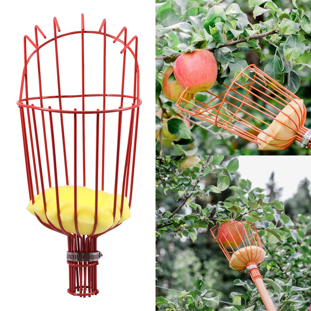 Fruit Picker Head Garden Tools Deep Basket Convenient Fruit Picker Catcher Apple Peach Picking Farm Home Garden Picking Device
Fruit Picker Head Garden Tools Deep Basket Convenient Fruit Picker Catcher Apple Peach Picking Farm Home Garden Picking Device