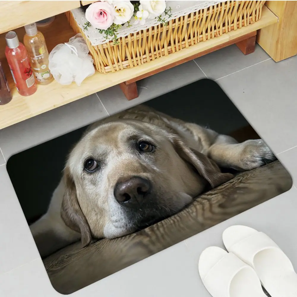 Cute Labrador Entrance Door Mat Soft Bedroom Floor House Laundry Room Mat Anti-skid Hotel Decor Mat Protective Floor Mat
Cute Labrador Entrance Door Mat Soft Bedroom Floor House Laundry Room Mat Anti-skid Hotel Decor Mat Protective Floor Mat