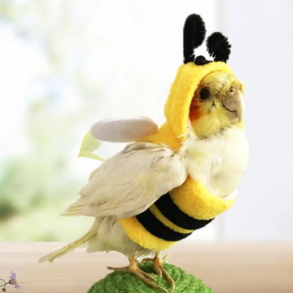 Adorable Pretty Warm Parrot Bee Clothes Two Holes Parrot Clothes Easy to Wear for Autumn
Adorable Pretty Warm Parrot Bee Clothes Two Holes Parrot Clothes Easy to Wear for Autumn