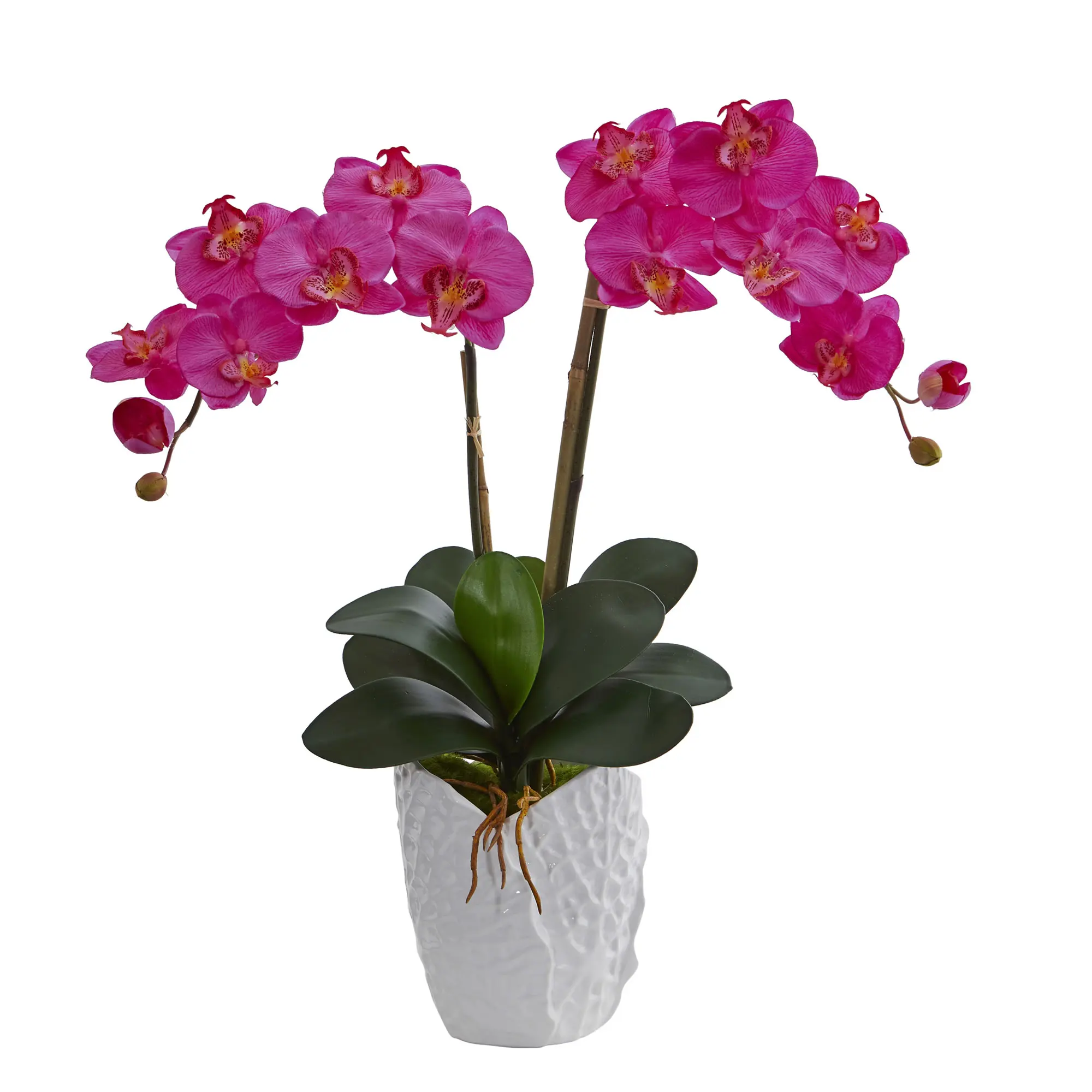 Free shipping 23" Double Phalaenopsis Orchid Artificial Flower Arrangement in White Vase Dark Pink
Free shipping 23" Double Phalaenopsis Orchid Artificial Flower Arrangement in White Vase Dark Pink