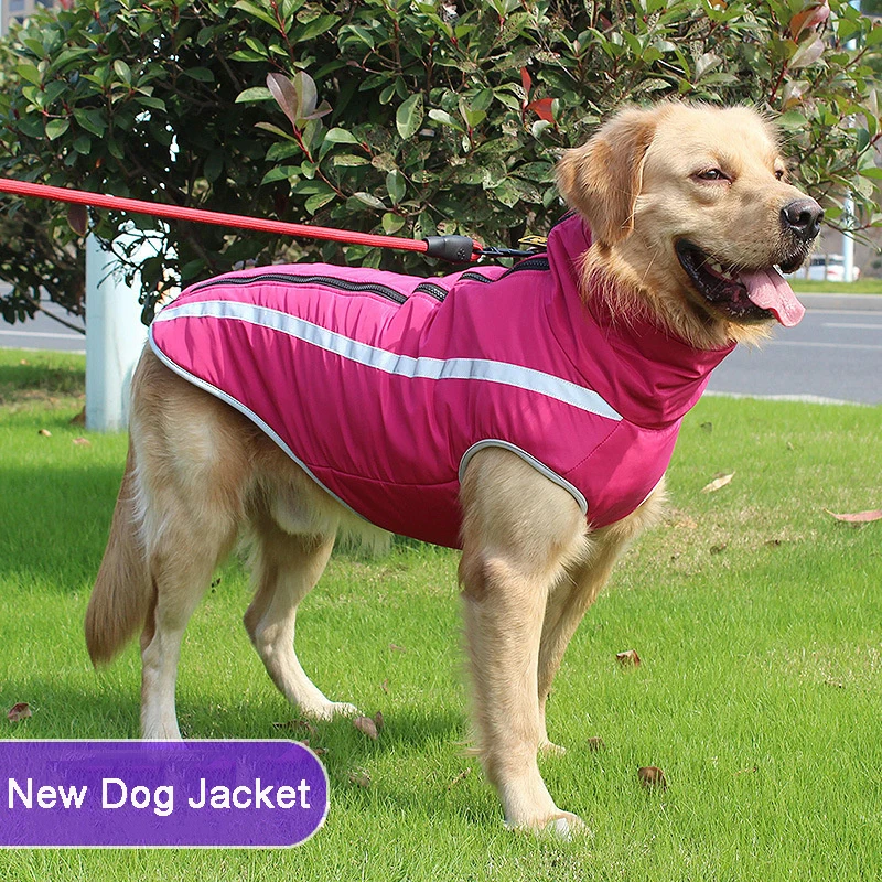 Large Pet Dog Clothes Winter Warm Pet Vest Jacket Waterproof Dog Coat Clothes For Large Dog Bulldog Golden Labrador Clothing
Large Pet Dog Clothes Winter Warm Pet Vest Jacket Waterproof Dog Coat Clothes For Large Dog Bulldog Golden Labrador Clothing
