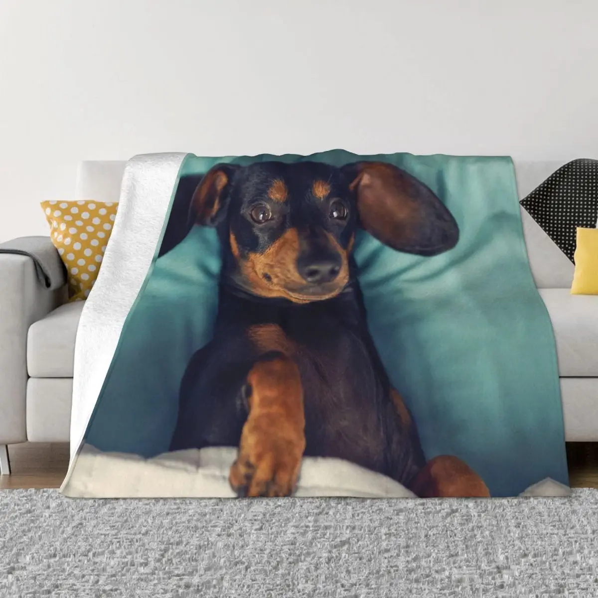 Ultra-Soft Fleece Dachshund Throw Blanket Warm Flannel Badger Sausage the Wiener Dog Blankets for Bed Office Couch Quilt
Ultra-Soft Fleece Dachshund Throw Blanket Warm Flannel Badger Sausage the Wiener Dog Blankets for Bed Office Couch Quilt