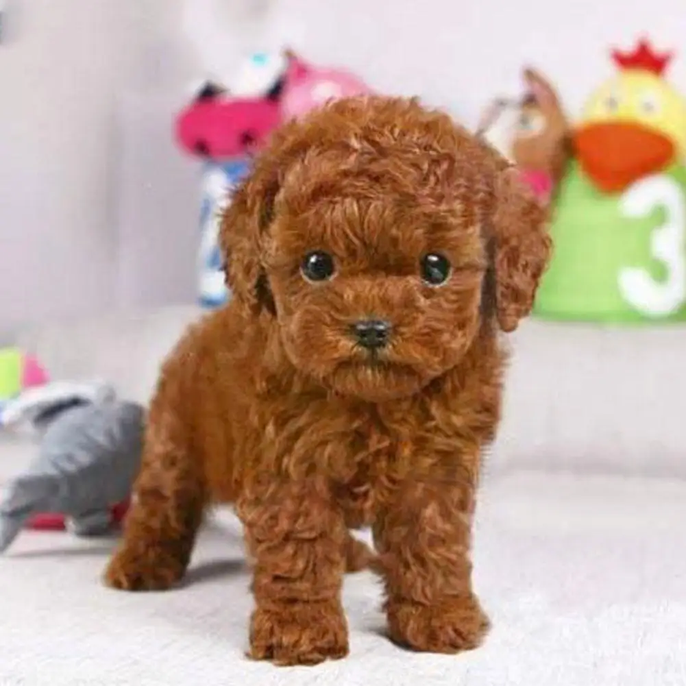 Realistic Teddy Dog Kids Plush Toys Cute Brown Simulation Children Gifts Lifelike Lovely Dolls Animals Kawaii Stuffed Prese F1q6
Realistic Teddy Dog Kids Plush Toys Cute Brown Simulation Children Gifts Lifelike Lovely Dolls Animals Kawaii Stuffed Prese F1q6