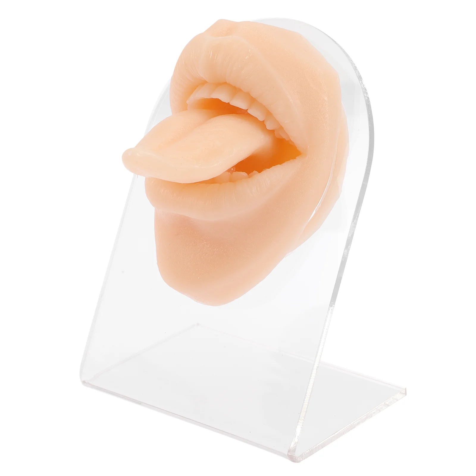 Tongue Model Practicesimulation Mouth Silicone Display Mold Stand Supplies Trainingdisplays Rings Parts Bodyfake Human
Tongue Model Practicesimulation Mouth Silicone Display Mold Stand Supplies Trainingdisplays Rings Parts Bodyfake Human
