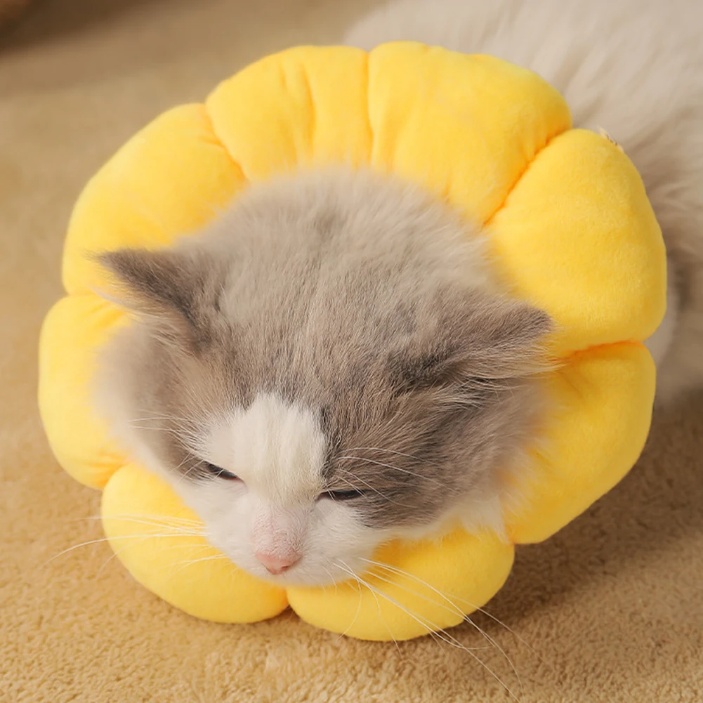Sunflower Elizabeth Circle Cat Anti-Licking Neck Collar Shame Ring Collar Pet Supplies Garfield Kitten Accessories
Sunflower Elizabeth Circle Cat Anti-Licking Neck Collar Shame Ring Collar Pet Supplies Garfield Kitten Accessories