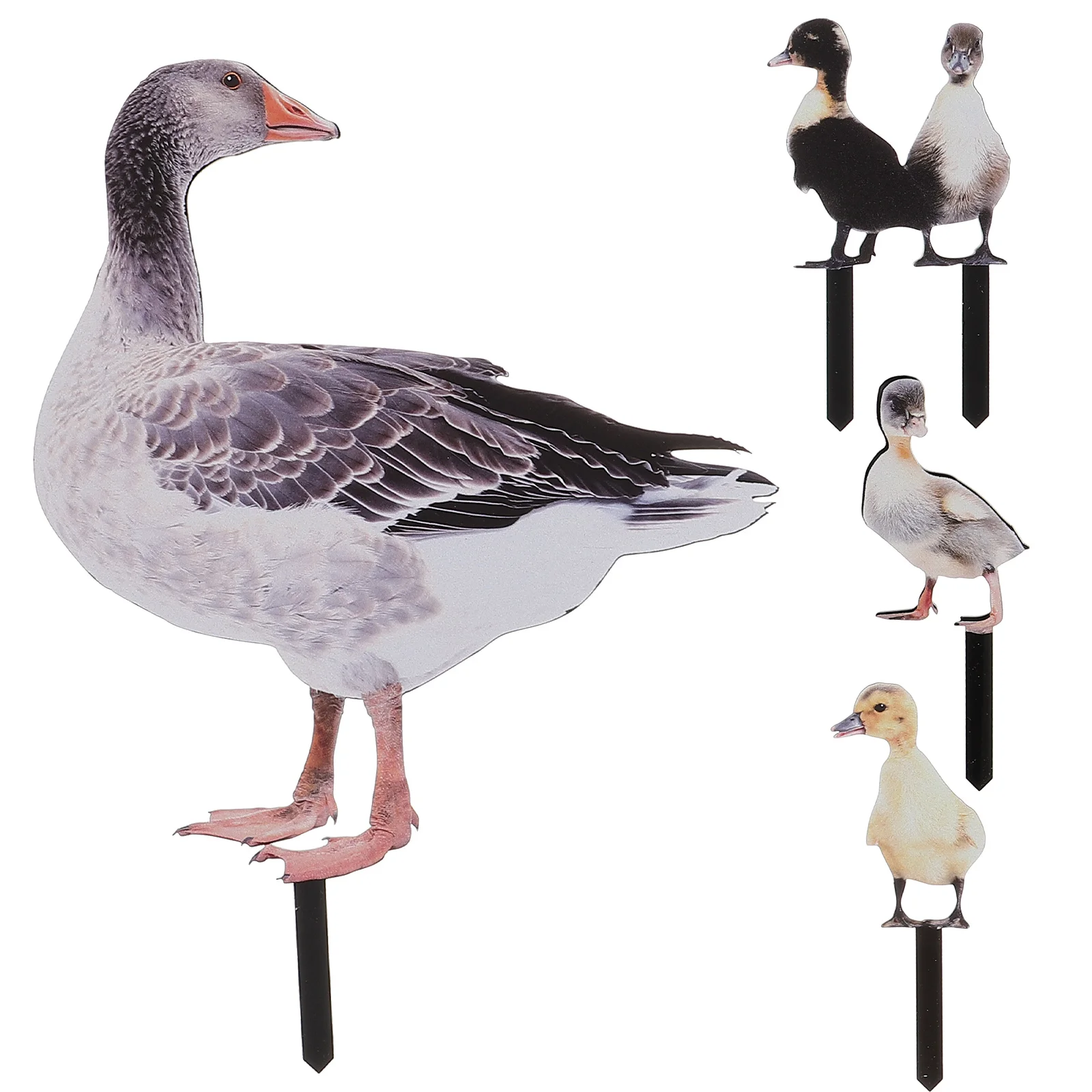 Outdoor Garden Stakes Animal Sculpture Realistic Lifelike Acrylic Poultry Statue Yard Lawn Decor Gnomes
Outdoor Garden Stakes Animal Sculpture Realistic Lifelike Acrylic Poultry Statue Yard Lawn Decor Gnomes