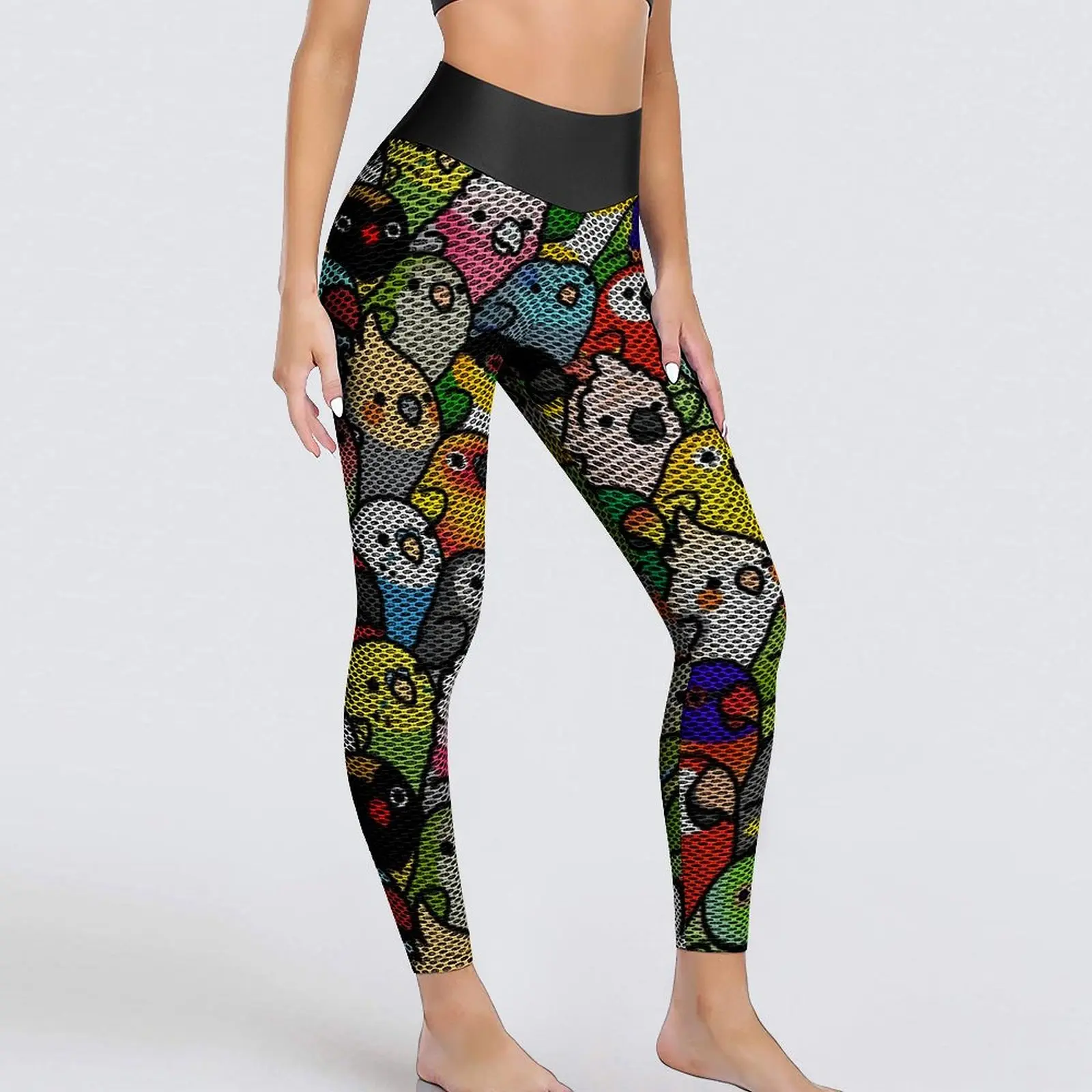 Colorful Parrot Leggings Everybirdy Fitness Running Yoga Pants Lady High Waist Novelty Leggins Sexy Seamless Sport Legging 
Colorful Parrot Leggings Everybirdy Fitness Running Yoga Pants Lady High Waist Novelty Leggins Sexy Seamless Sport Legging