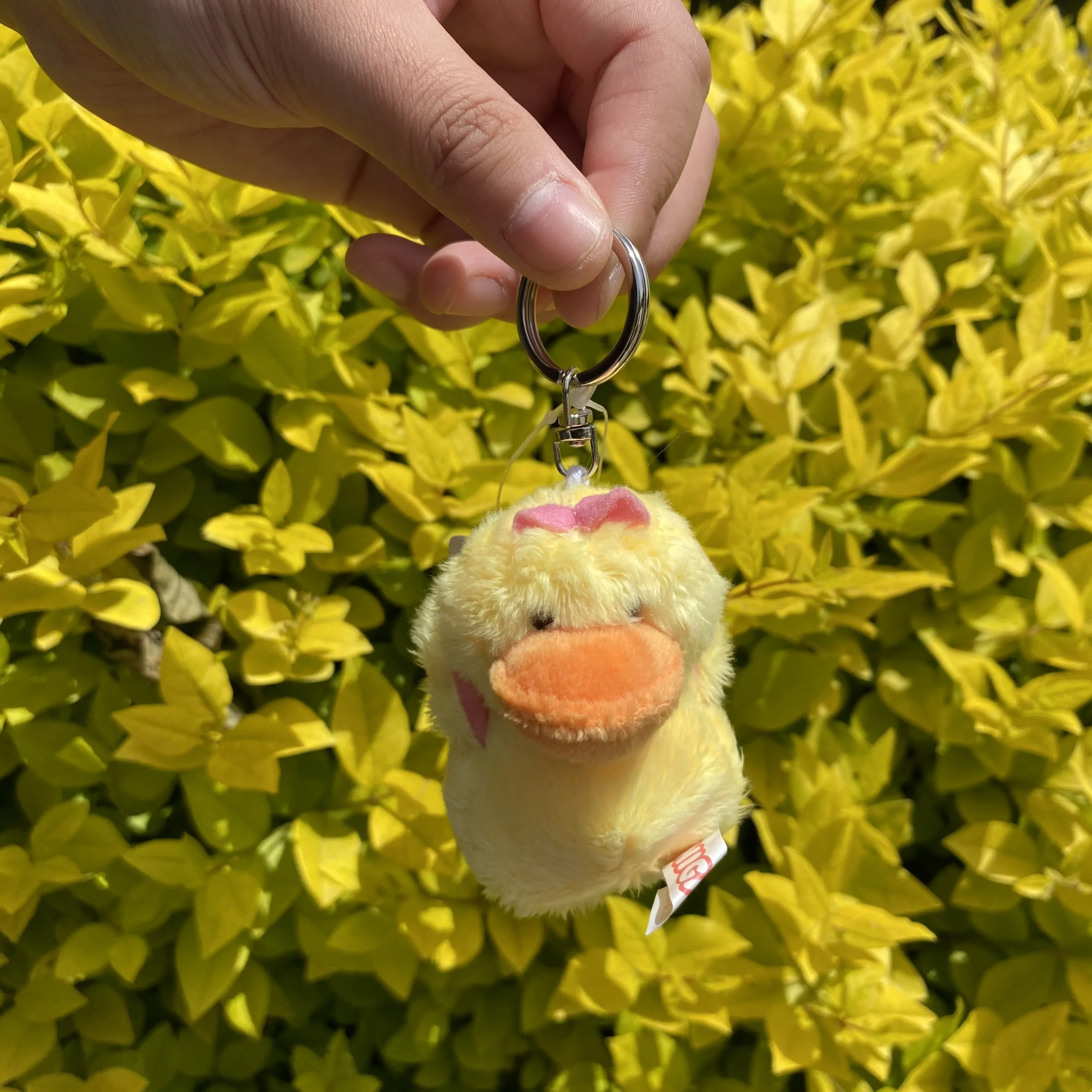 1 шт. желтая утка маленькая плюшевая подвесная игрушка, Детская кукла брелок/брелок подарок Бесплатная доставка
1 шт. желтая утка маленькая плюшевая подвесная игрушка, Детская кукла брелок/брелок подарок Бесплатная доставка