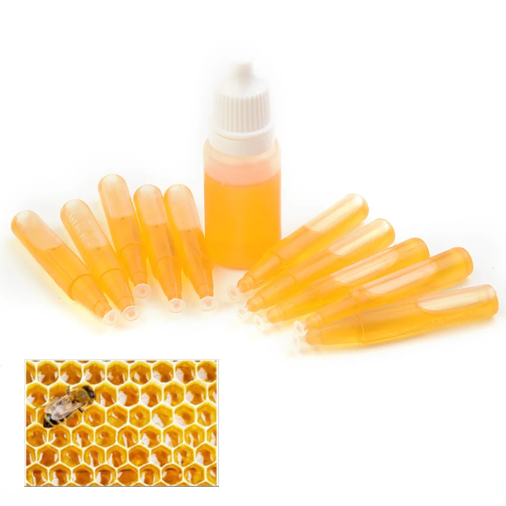 10Pcs 2ml Set Bee Swarm Trap Beekeeping Hive Honey Fruits Tool 10ml Lure Kit For Beekeeper Attractant Lures Bait
10Pcs 2ml Set Bee Swarm Trap Beekeeping Hive Honey Fruits Tool 10ml Lure Kit For Beekeeper Attractant Lures Bait