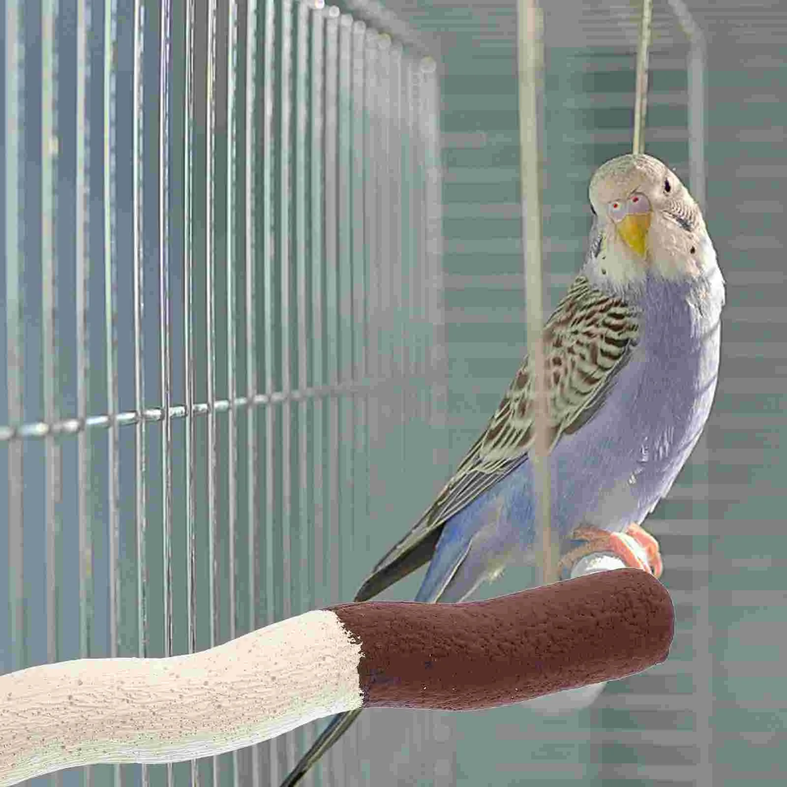 Bird Stand Parrot Perch Resistant Cage Wear Household Daily Accessory Bite Funny Compact
Bird Stand Parrot Perch Resistant Cage Wear Household Daily Accessory Bite Funny Compact