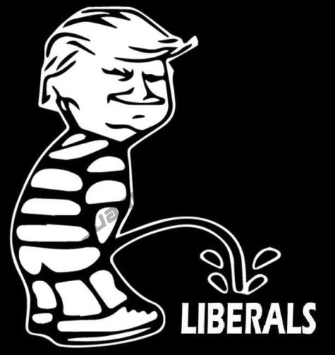 Creative Sticker TRUMP PEE ON LIBERALS FUNNY CAR TRUCK VINYL WINDOW STICKER DECAL Die Cut Decal Bumper Walls Phone Laptop KK10cm
Creative Sticker TRUMP PEE ON LIBERALS FUNNY CAR TRUCK VINYL WINDOW STICKER DECAL Die Cut Decal Bumper Walls Phone Laptop KK10cm