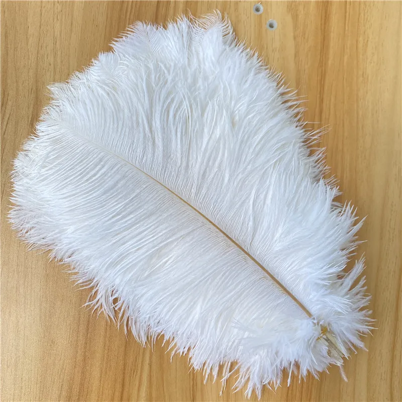 50-100pcs/lot White Ostrich Feathers for Crafts 12-14 Inch/30-35cm Decoration Carnival Supplies Party Home Diy
50-100pcs/lot White Ostrich Feathers for Crafts 12-14 Inch/30-35cm Decoration Carnival Supplies Party Home Diy