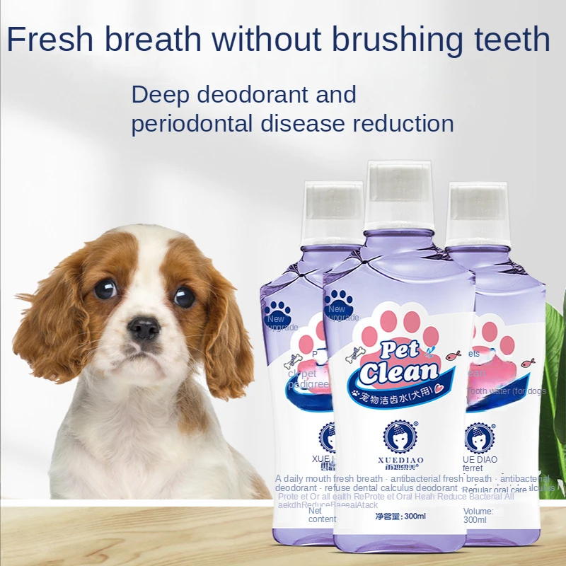 Pets Advanced Plaque and Tartar Water Additive,10oz Teeth Cleaning Formula Targets Plaque Tartar Build-Up,Eliminates Bad Breath
Pets Advanced Plaque and Tartar Water Additive,10oz Teeth Cleaning Formula Targets Plaque Tartar Build-Up,Eliminates Bad Breath