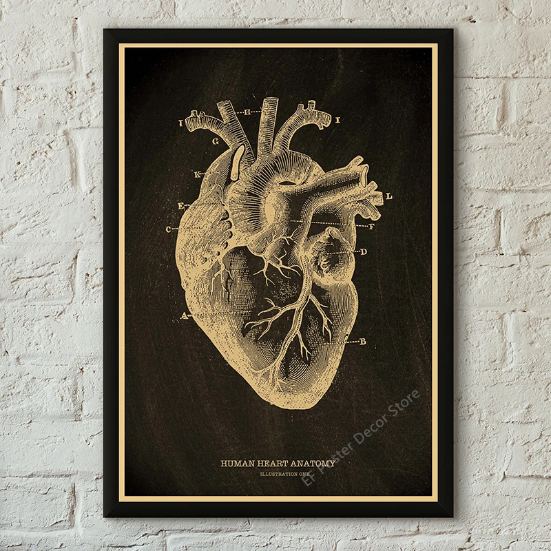 Винтажный медицинский плакат, анатомия, печать на холсте 
Винтажный медицинский плакат, анатомия, печать на холсте